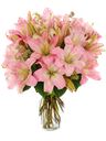 Bouquet di lilium rosa
