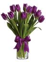 Bouquet di tulipani