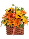 Cesto di fiori estivi