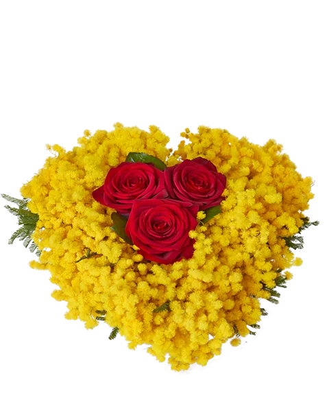 Cuore